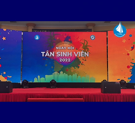 MÀN LED CÁT TƯỜNG LUNG LINH GIỮA HÀ NỘI